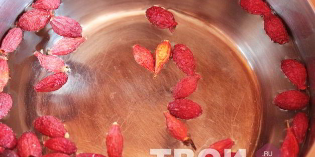 напиток из шиповника