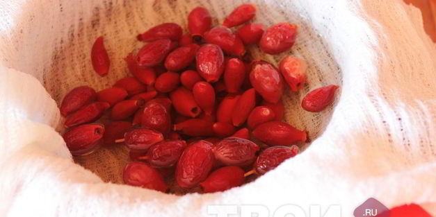 напиток из шиповника