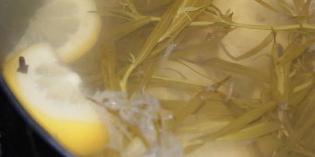 напиток тархун с пряностями