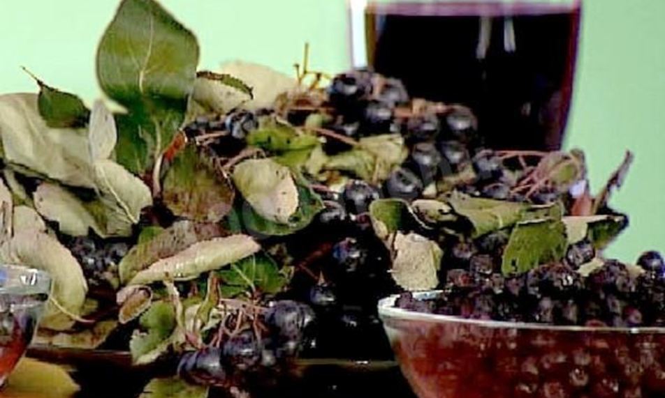 Рецепт сироп из черноплодной рябины на зиму