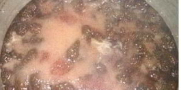 сироп из сосновых шишек