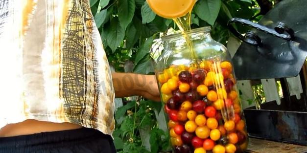 вино из алычи простое домашнее