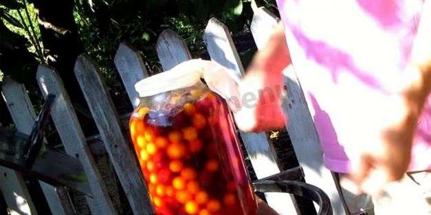 вино из алычи простое домашнее