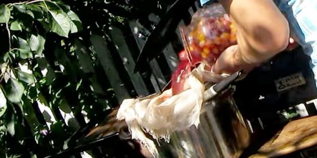 вино из алычи простое домашнее