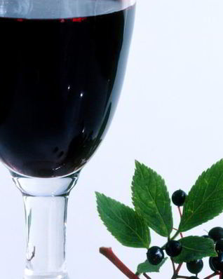 Вино из черемухи