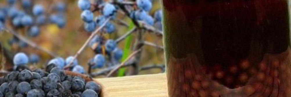 Вино из терна