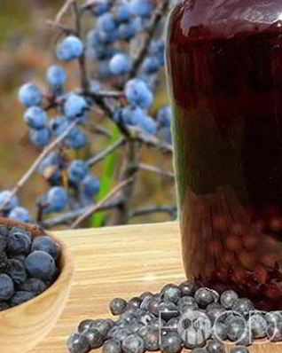 Вино из терна