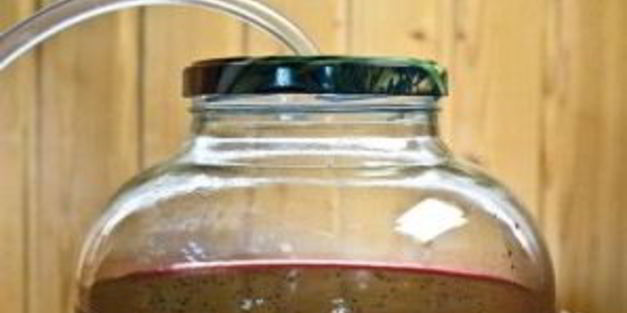 вино из вишни без дрожжей