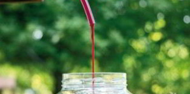 вино из вишни без дрожжей