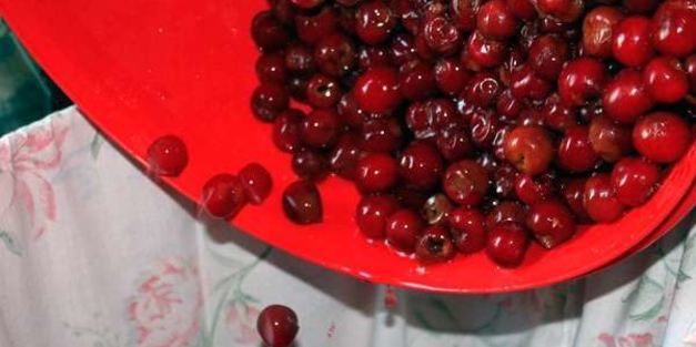 вино из войлочной вишни