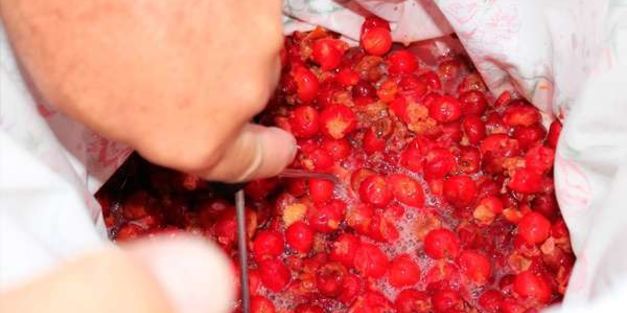 вино из войлочной вишни