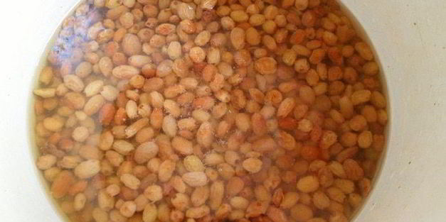 желлеб-традиционный ливанский напиток