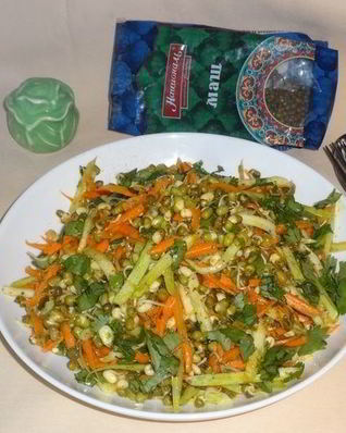 Острый овощной салат с пророщенным машем