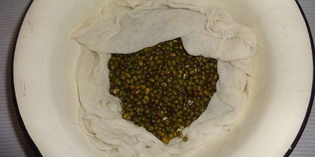 острый овощной салат с пророщенным машем