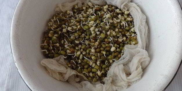 острый овощной салат с пророщенным машем