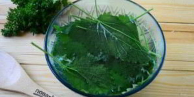 салат из крапивы с яйцом и огурцом