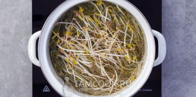 салат из пророщенного маша