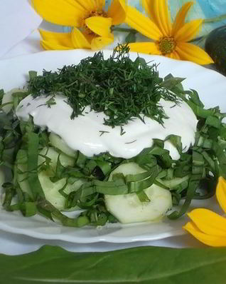 Салат из щавеля с огурцом