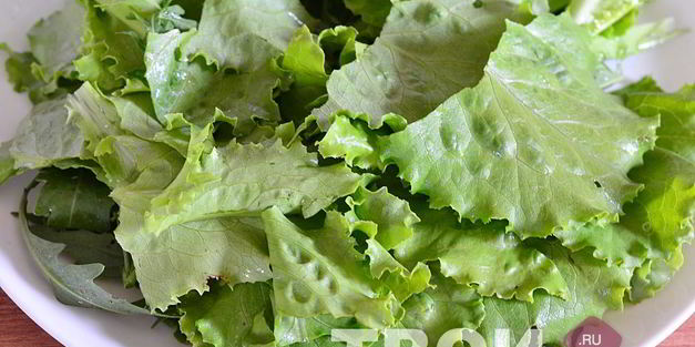 салат с яйцом