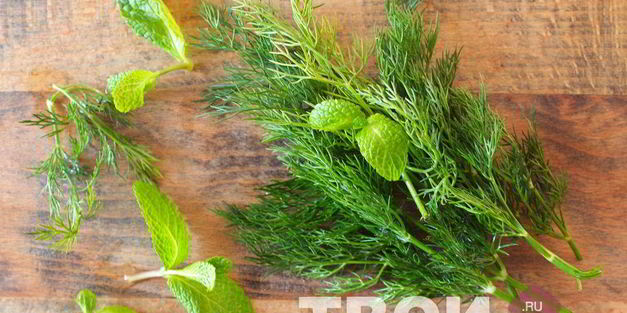 соус дзадзики