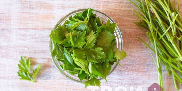 соус из петрушки