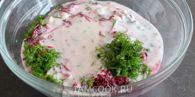 литовский холодный борщ