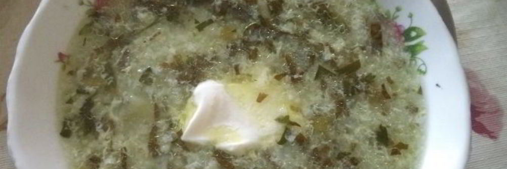 Зеленый борщ без мяса