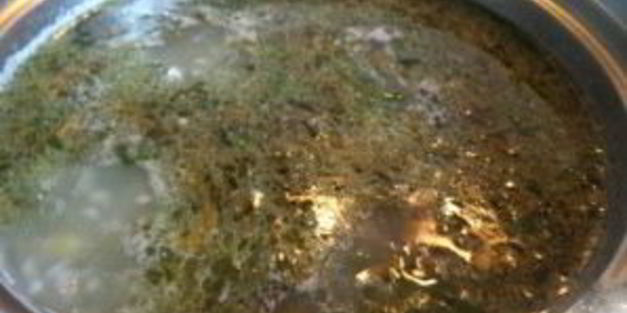 зеленый борщ без мяса