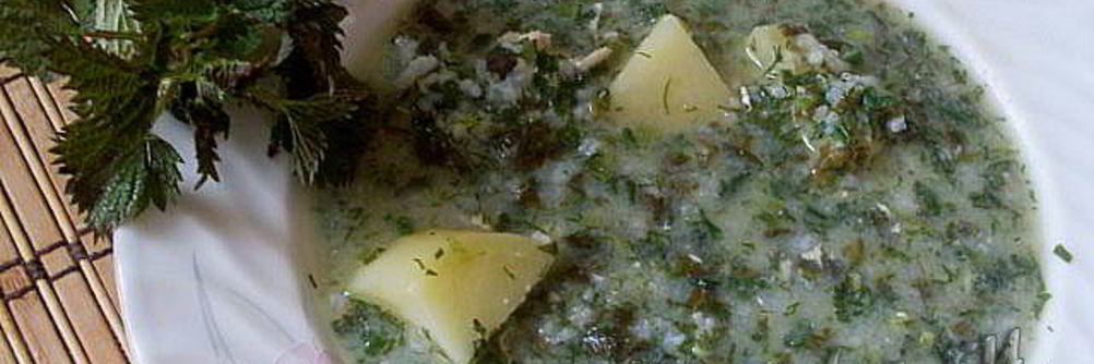 Зеленый борщ с крапивой