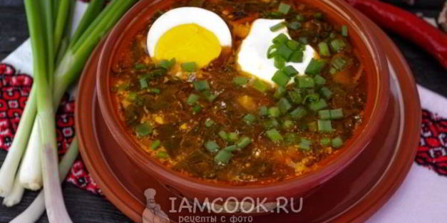 зеленый борщ со щавелем и яйцом