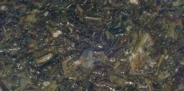 зеленый борщ улыбка лета