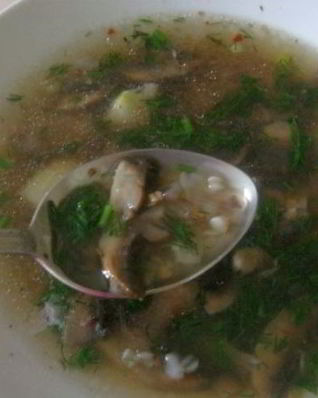 Гречневый суп с грибами