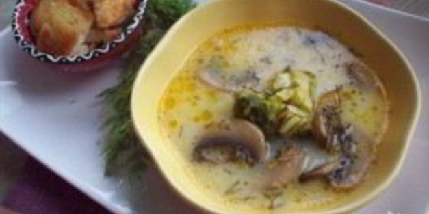 грибной суп из грибов