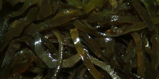 мисо суп с куриной грудкой