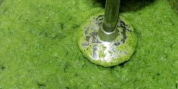 суп-пюре из брокколи и кабачков