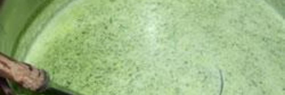 Суп-пюре из кресс салата