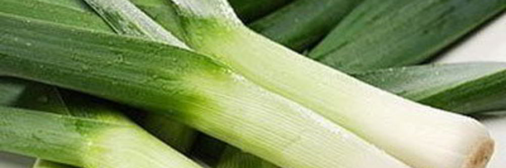 Суп-пюре из лука-порея