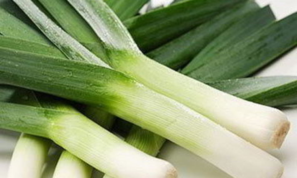 Рецепт суп-пюре из лука-порея