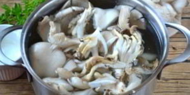 суп-пюре из вешенок