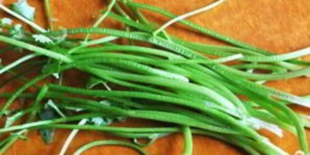 суп с курицей и кукурузой