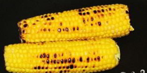 суп с курицей и кукурузой