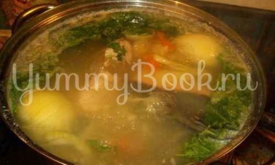 Рецепт уха из семги