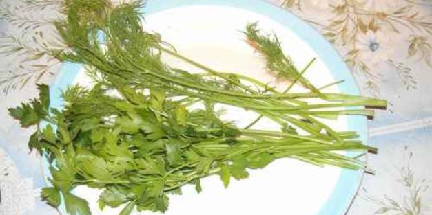 уха из семги