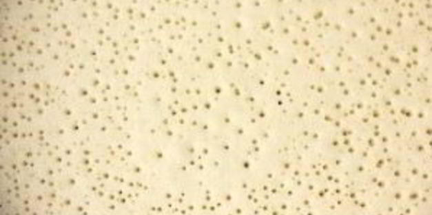 блинчики на сыворотке без яиц