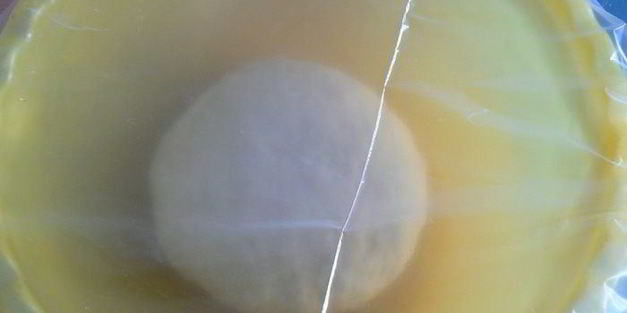 булочки картофельные