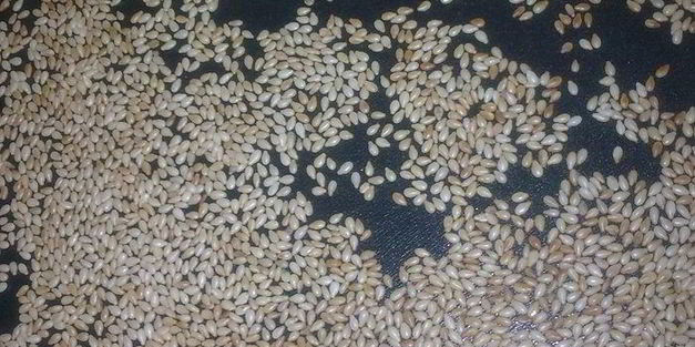 сырные булочки с кунжутом