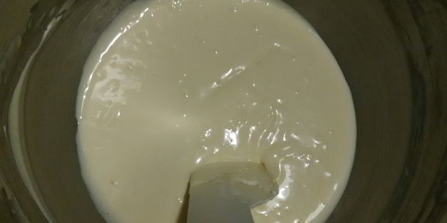 чизкейк с шоколадным бисквитом