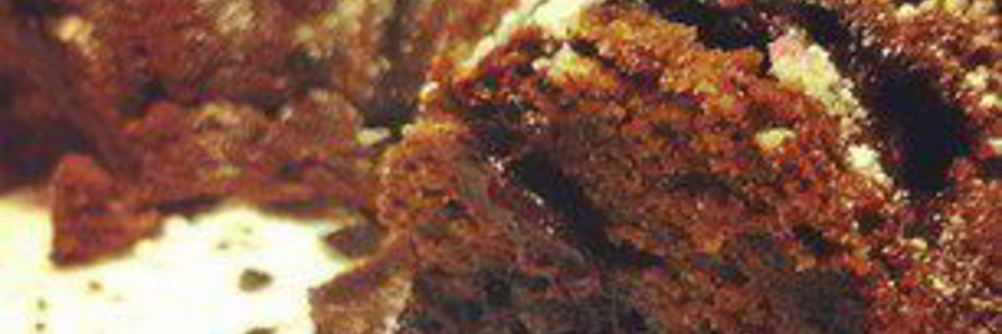 Шоколадный кекс с черной смородиной