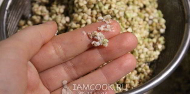 хлеб из зеленой гречки