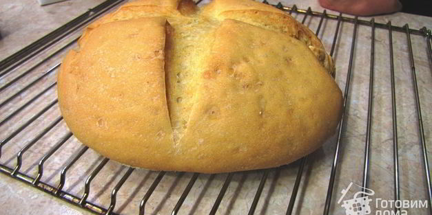 хлеб, просто хлеб